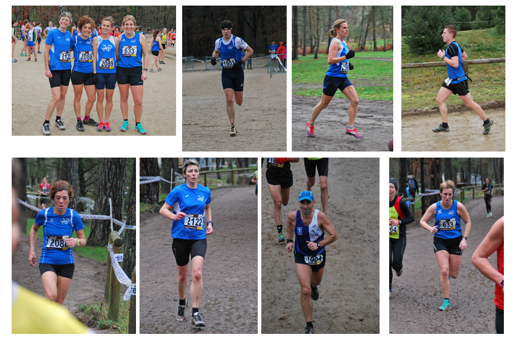 2016 Cross regional Fbleau